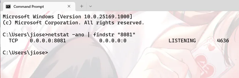 本机 TCP 8081 端口状态