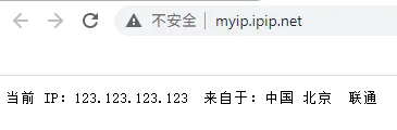 IPIP 显示的互联网出口 IP